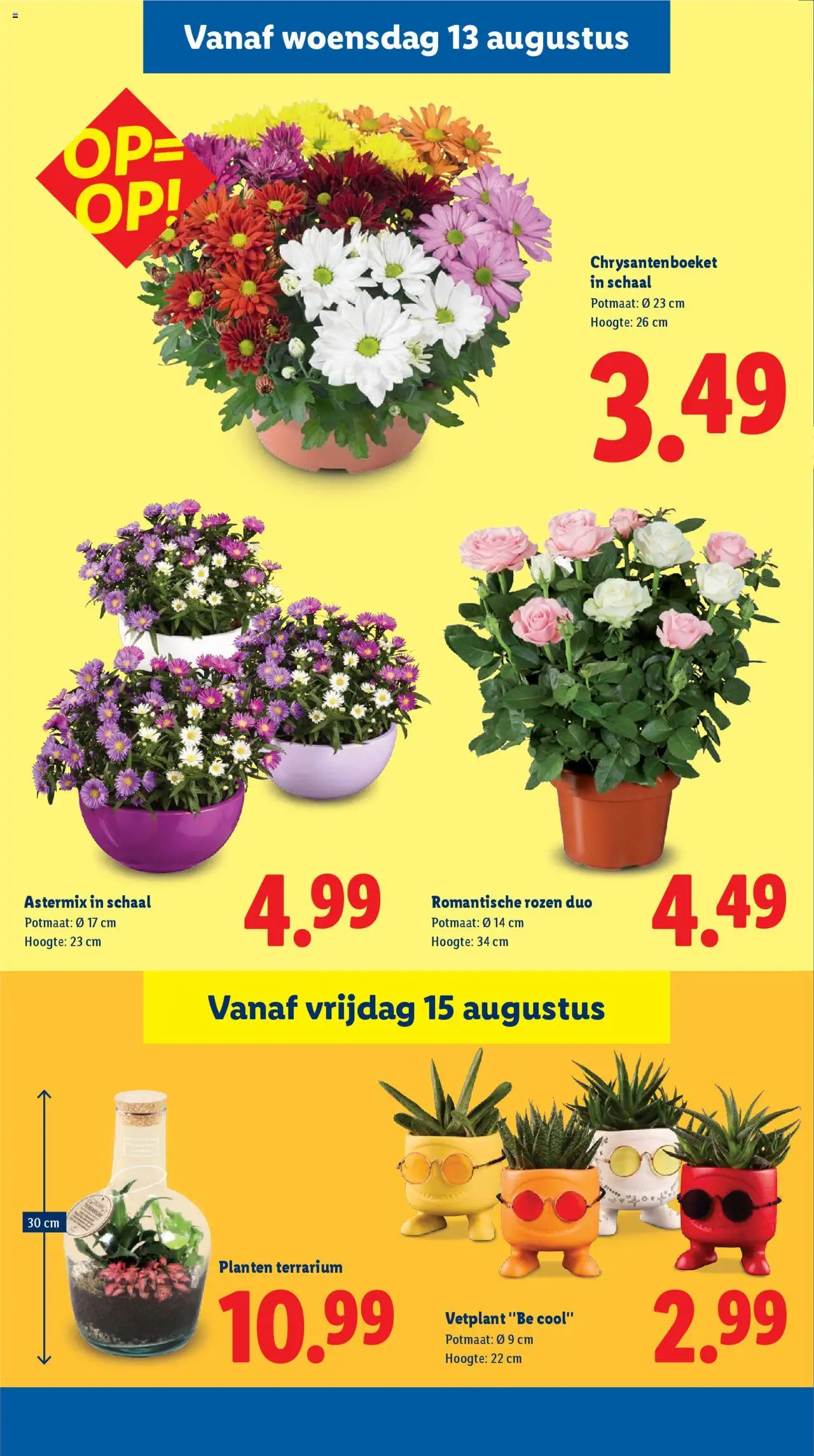  | Pagina: 17 | Producten: Schaal