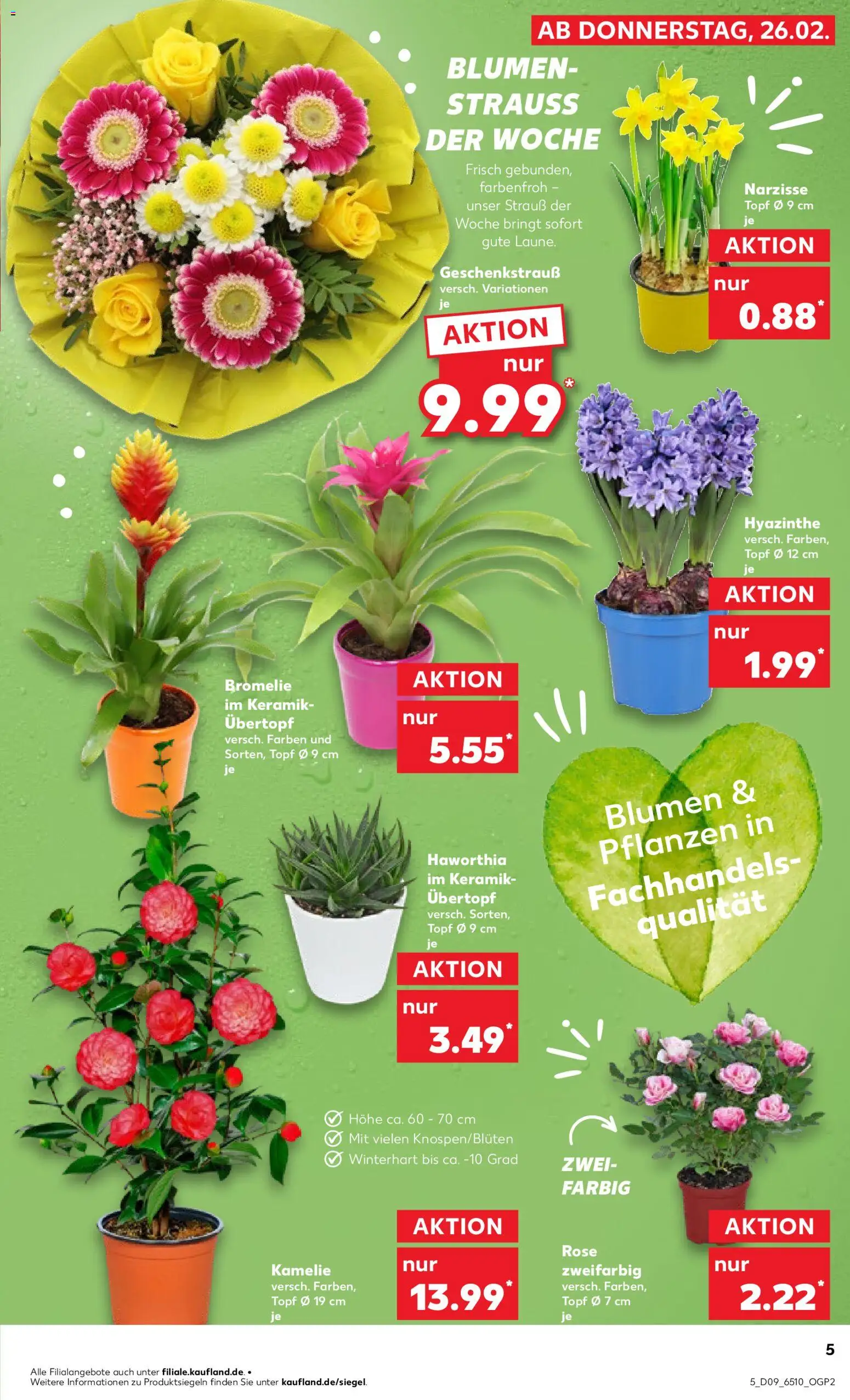 Kaufland prospekt Völklingen	 – gültig ab 26.02.2026 | Seite: 5 | Produkte: Blumen