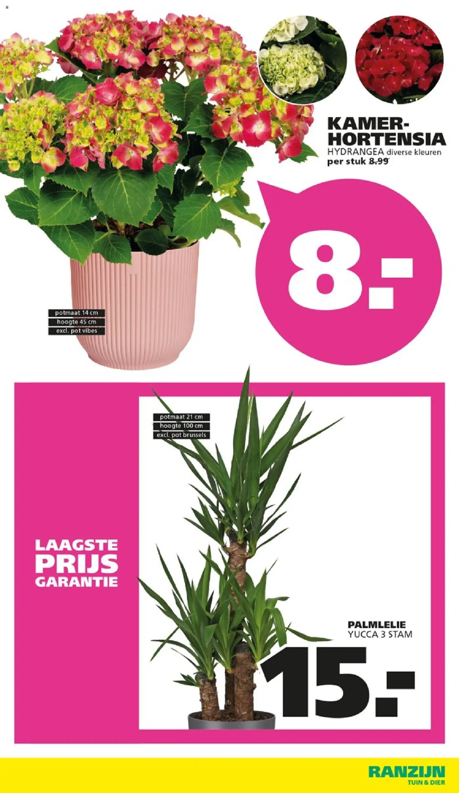 {H1} | Pagina: 10 | Producten: Pot