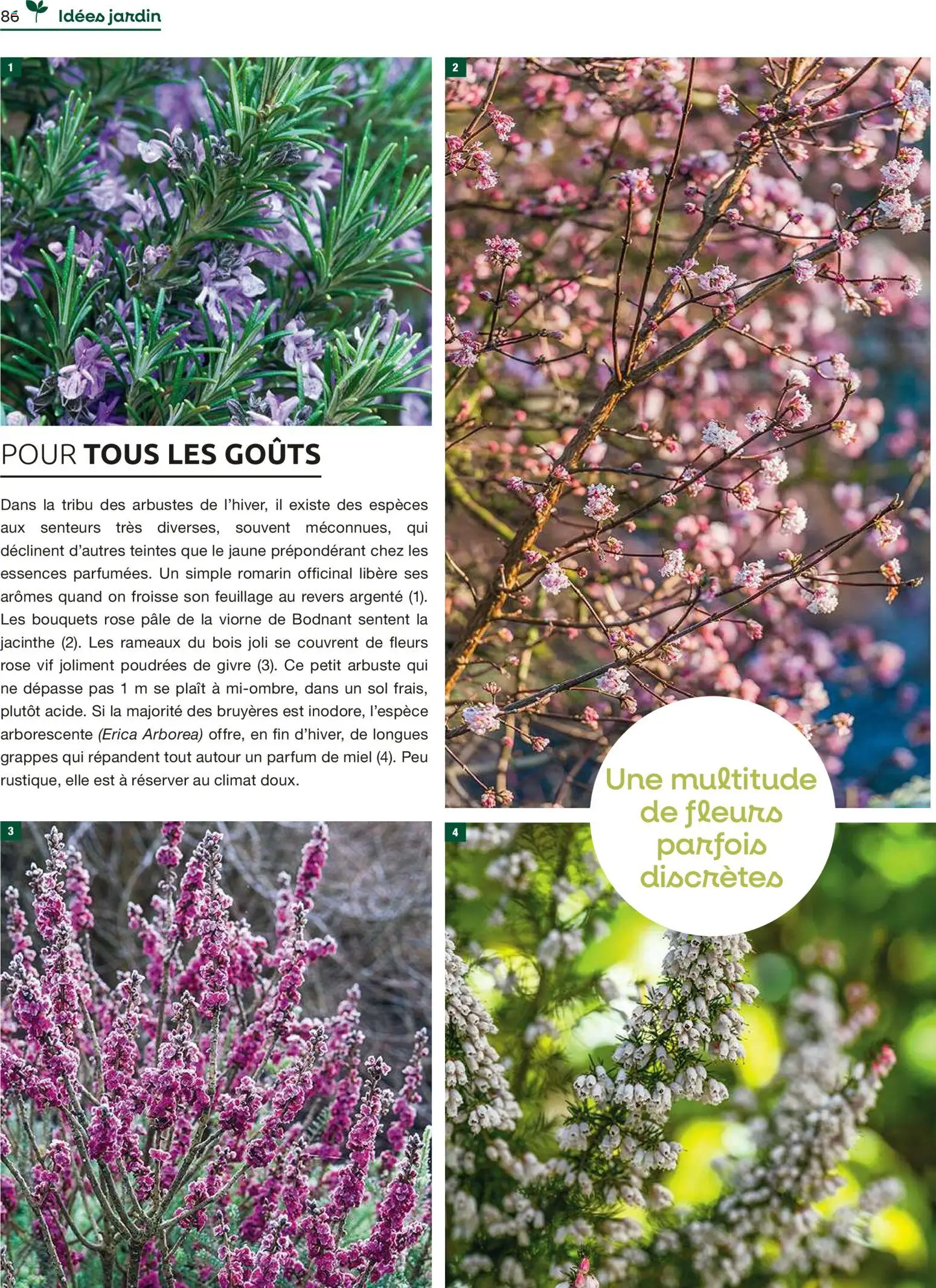 {H1} | Page: 86 | Produits: Parfum, Miel