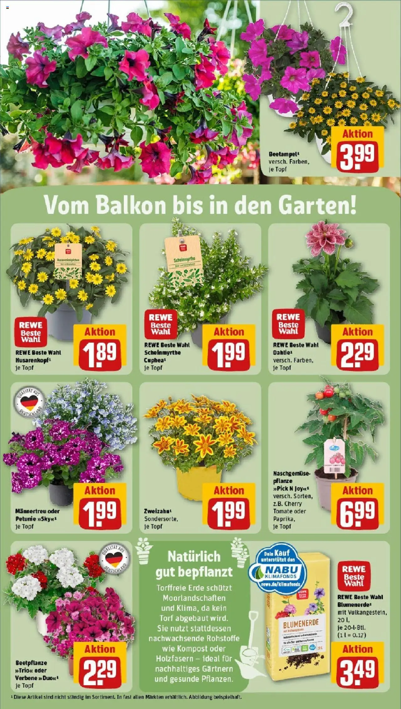 Rewe - Rewe: Wochenangebote - gültig ab dem 18.05.2025 | Seite: 33 | Produkte: Blumenerde