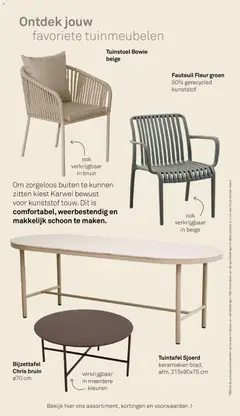 KARWEI folder - Tuin special - decoratief - Voorbeeld van een folder van KARWEI, geldig van 01.03.2026 | Pagina: 21 | Producten: Fauteuil