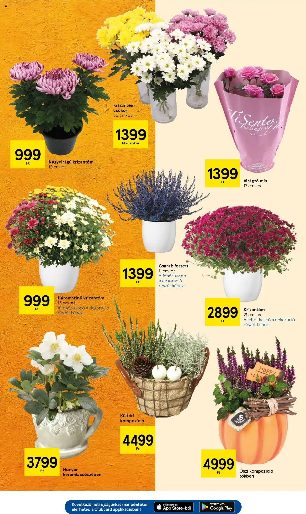 Tesco akciós ujság - amely érvényes a következő dátumtól: 16.10.2025 | Oldal: 19 | Termékek: Kaspó, Dekoráció