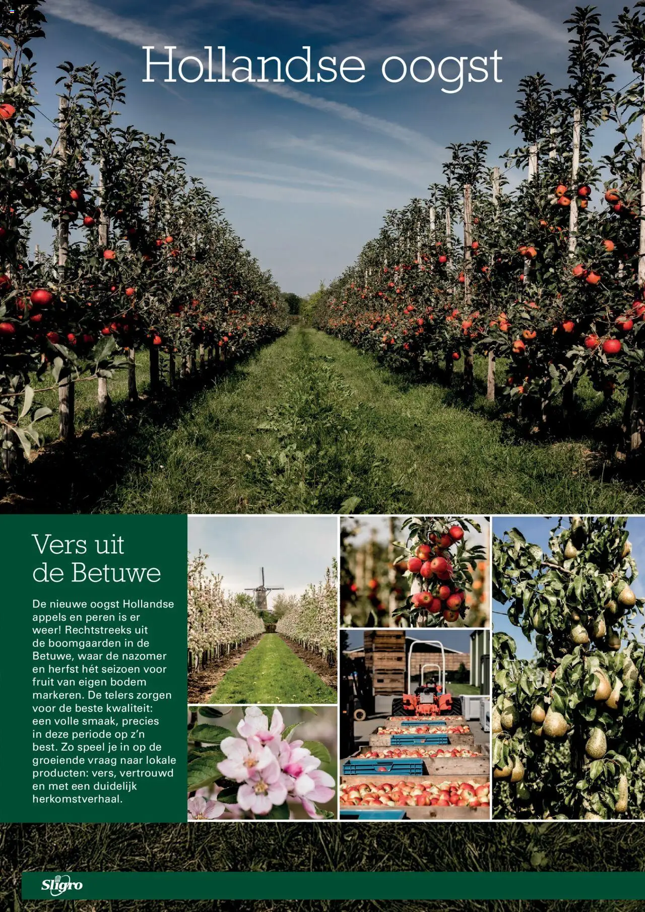  | Pagina: 18 | Producten: Appels, Fruit