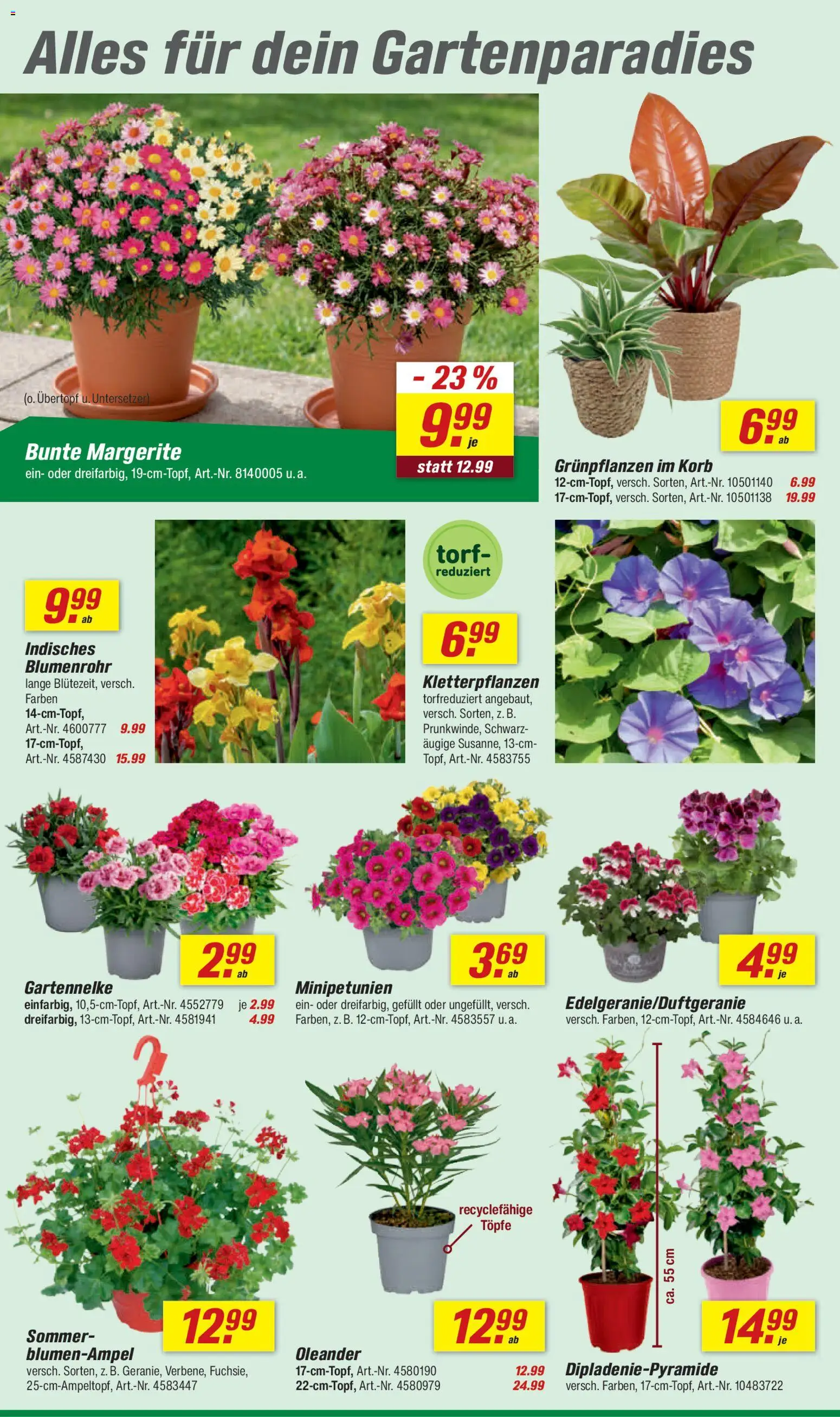 Toom Baumarkt Prospekt 	 – gültig ab 25.04.2026 | Seite: 4 | Produkte: Korb