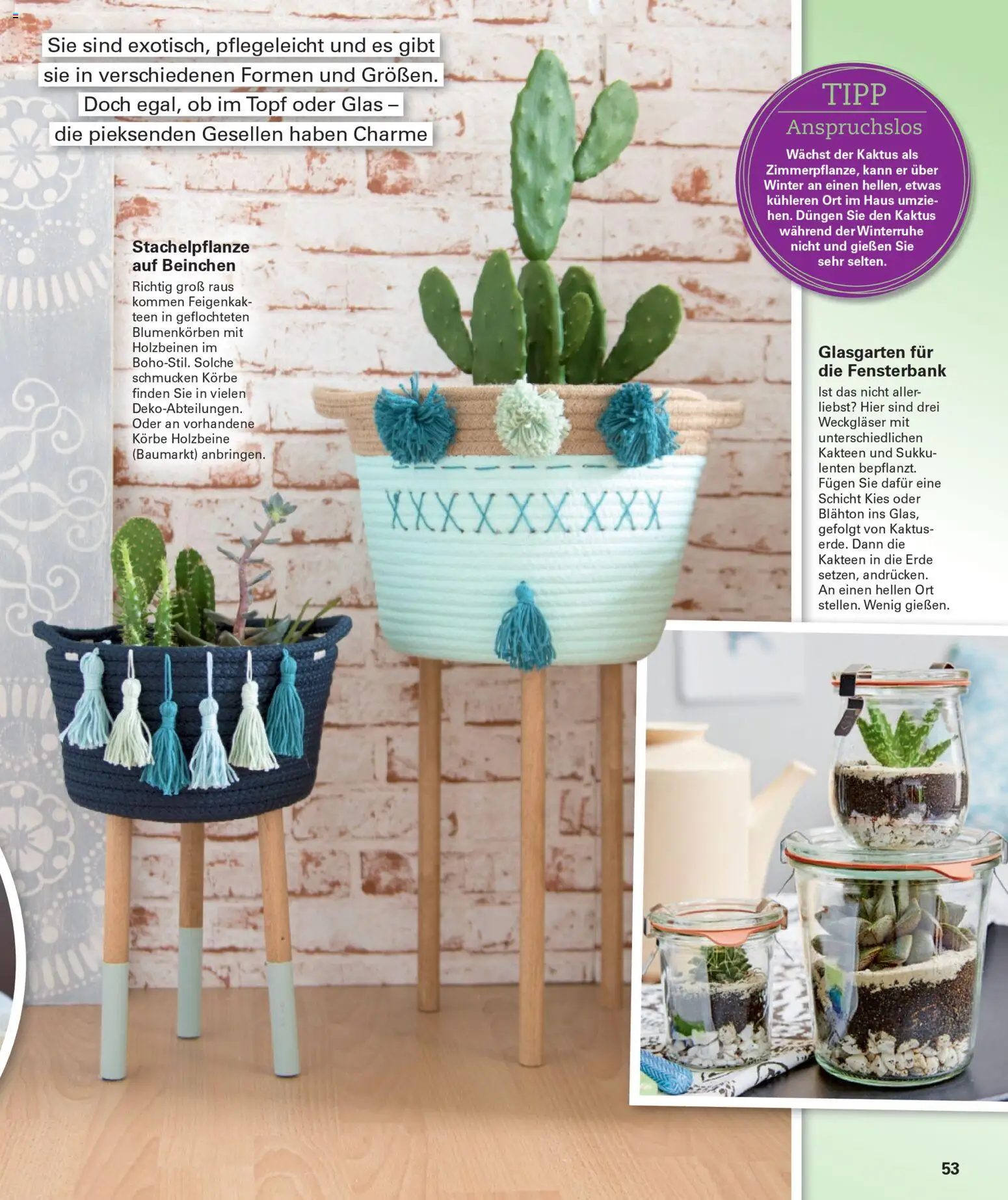 Poco Wohnwelt Winter 2025 – gültig ab 01.12.2025 | Seite: 53