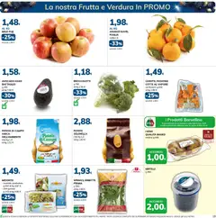 Anteprima del volantino Volantino Basko	 valido a partire dal 09.12.2025 | Pagina: 19 | Prodotti: Kiwi, Avocado, Patate, Mirtilli