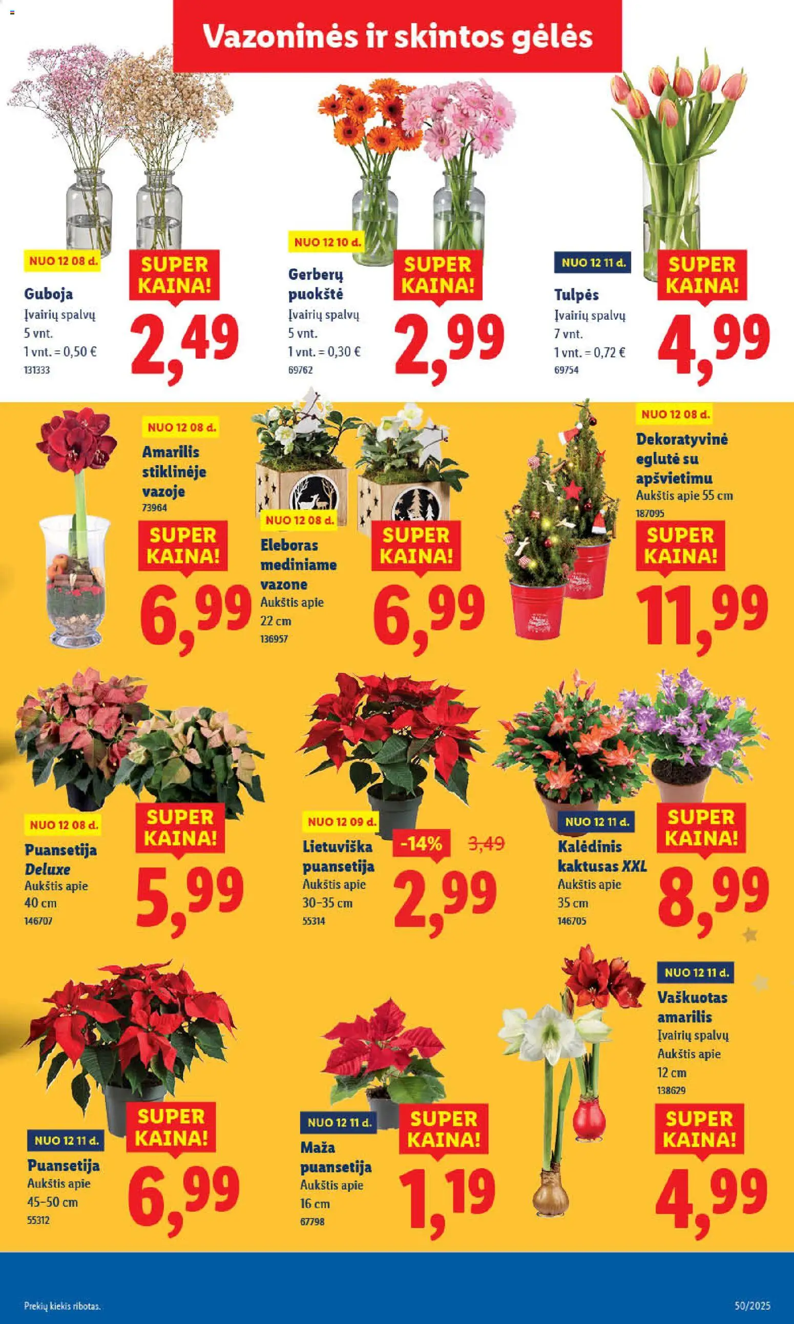 LIDL akcijos nuo 11.12.2025 | Puslapis: 51