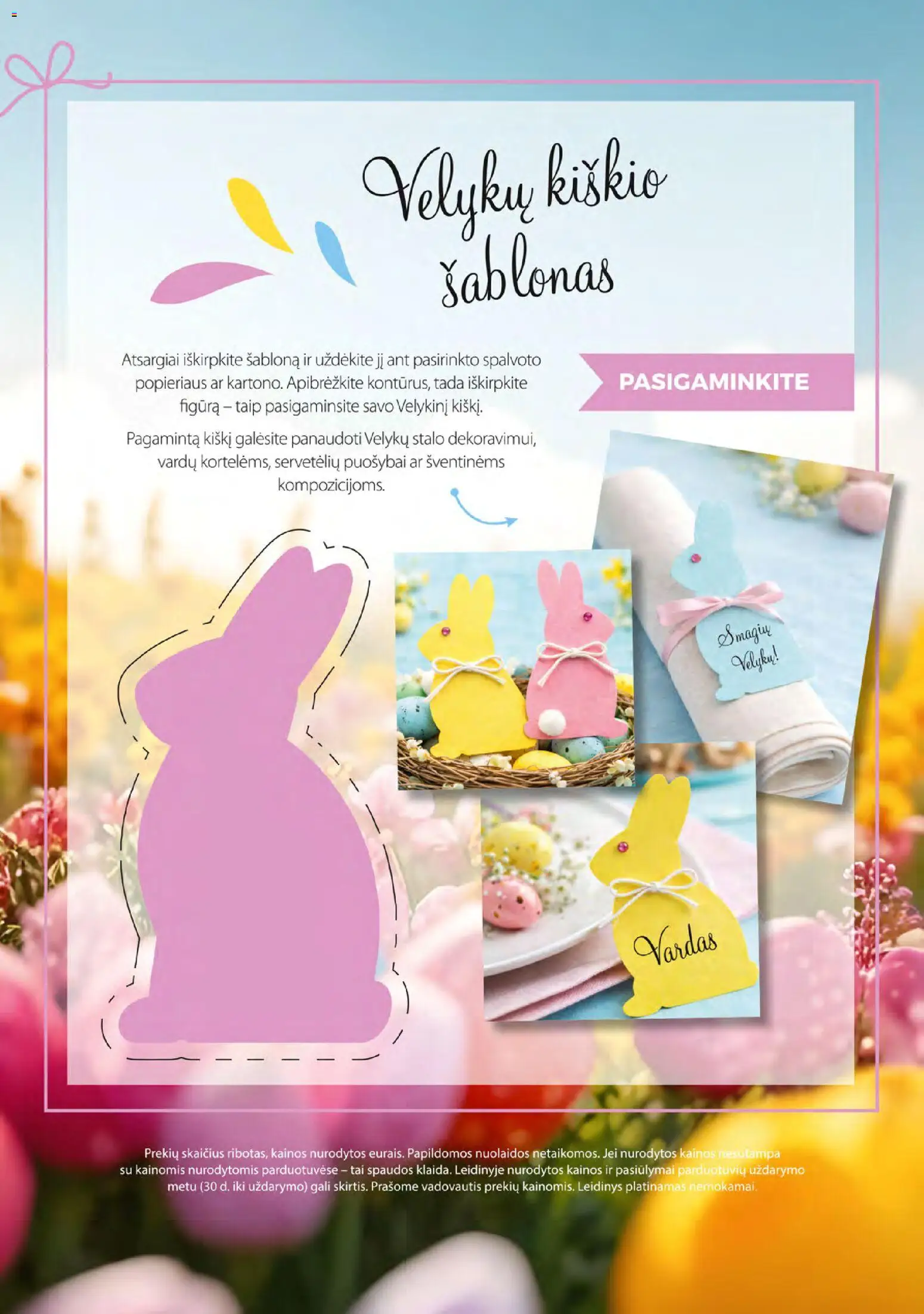 NORFA akcijos nuo 24.03.2026 | Puslapis: 56