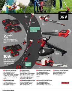 Vista previa Bauhaus Jardín válido desde el 16.03.2026 | Página: 7