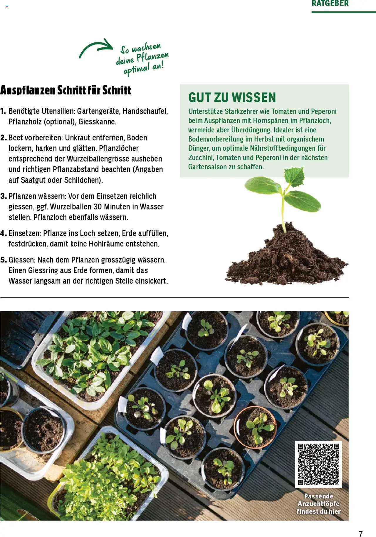Jumbo Aktionen Dein Garten 2025 ab 21.02.2025 | Seite: 7 | Produkte: Tomaten, Wasser