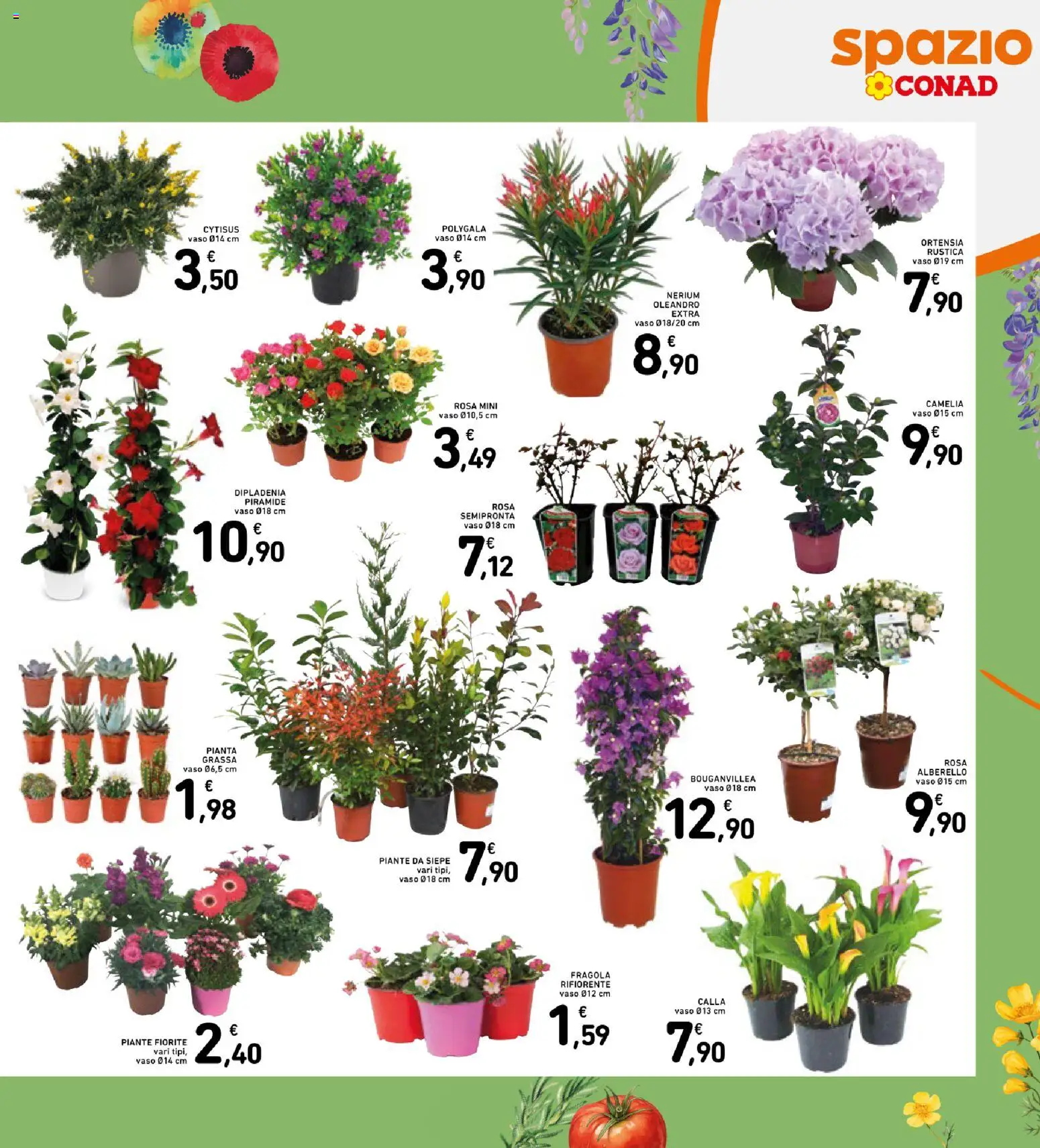 Volantino Spazio Conad del 13.03.2026 | Pagina: 3 | Prodotti: Vaso