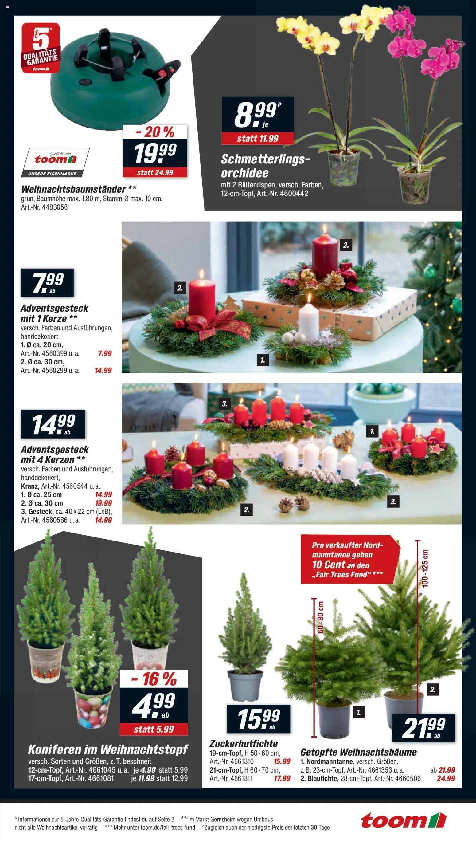 Toom Baumarkt - Black Friday – gültig ab 22.11.2025 | Seite: 3 | Produkte: Orchidee