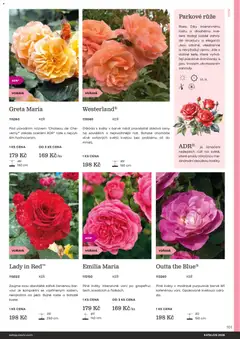 Náhled letáku Starkl katalog od 25.02.2026 | Strana: 101