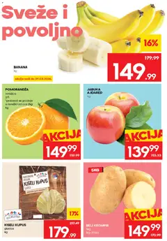 Roda katalog - pregled Roda kataloga - važi od 26.03.2026 | Strana: 2