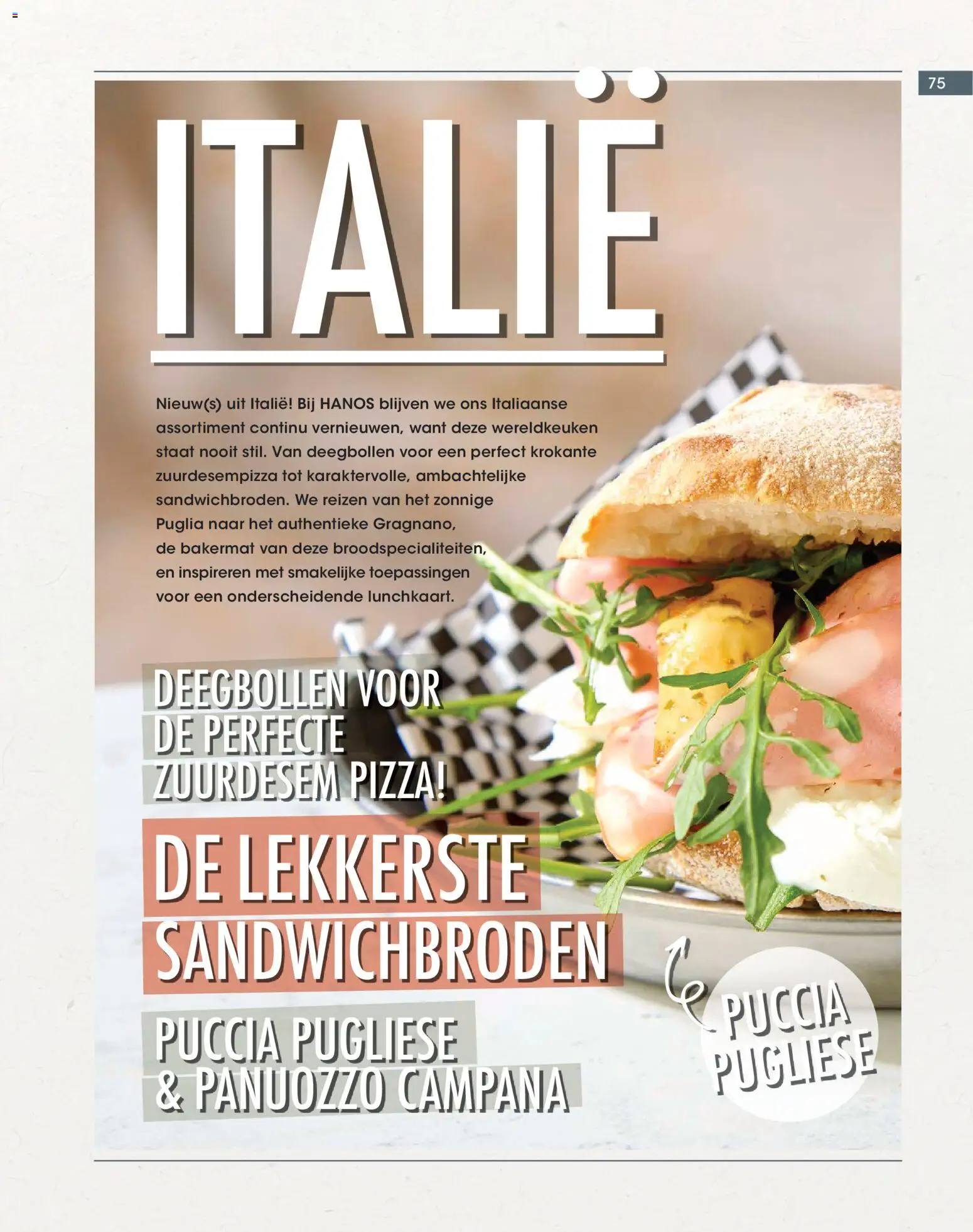 {H1} | Pagina: 75 | Producten: Pizza