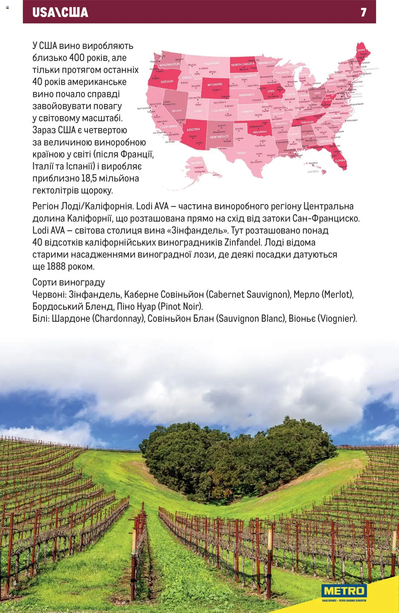 Metro Kаталог - дійснийкції з 01.07.2025 | Сторінка: 7 | Товари: Вино