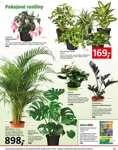 Náhled letáku Bauhaus leták od 06.02.2026 | Strana: 21