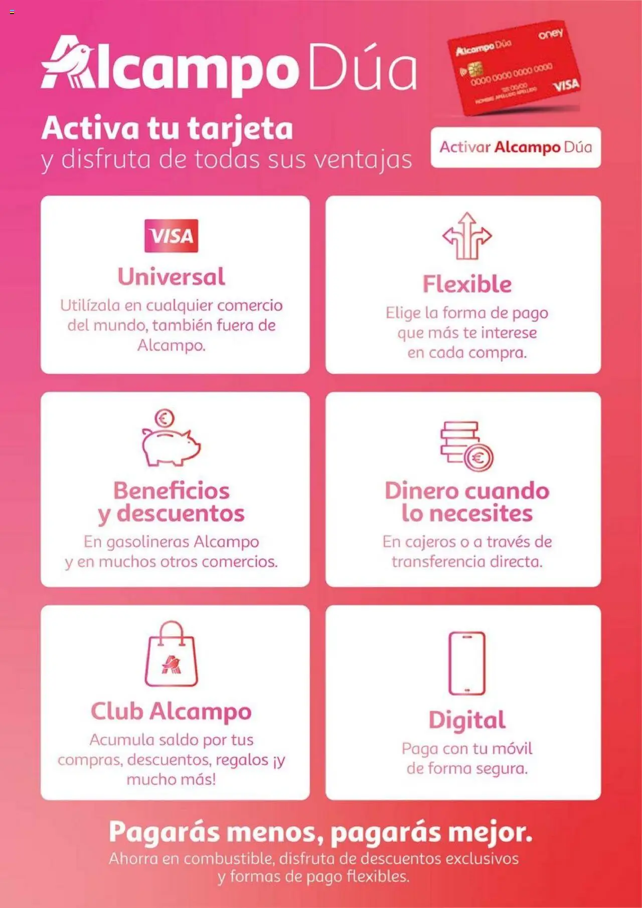 Alcampo - Club Nacional  │ válido desde el 11.09.2025 | Página: 3 | Productos: Té