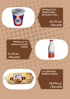 Catalog Sergiana – valabil de la 01.08.2025 | Pagină: 5