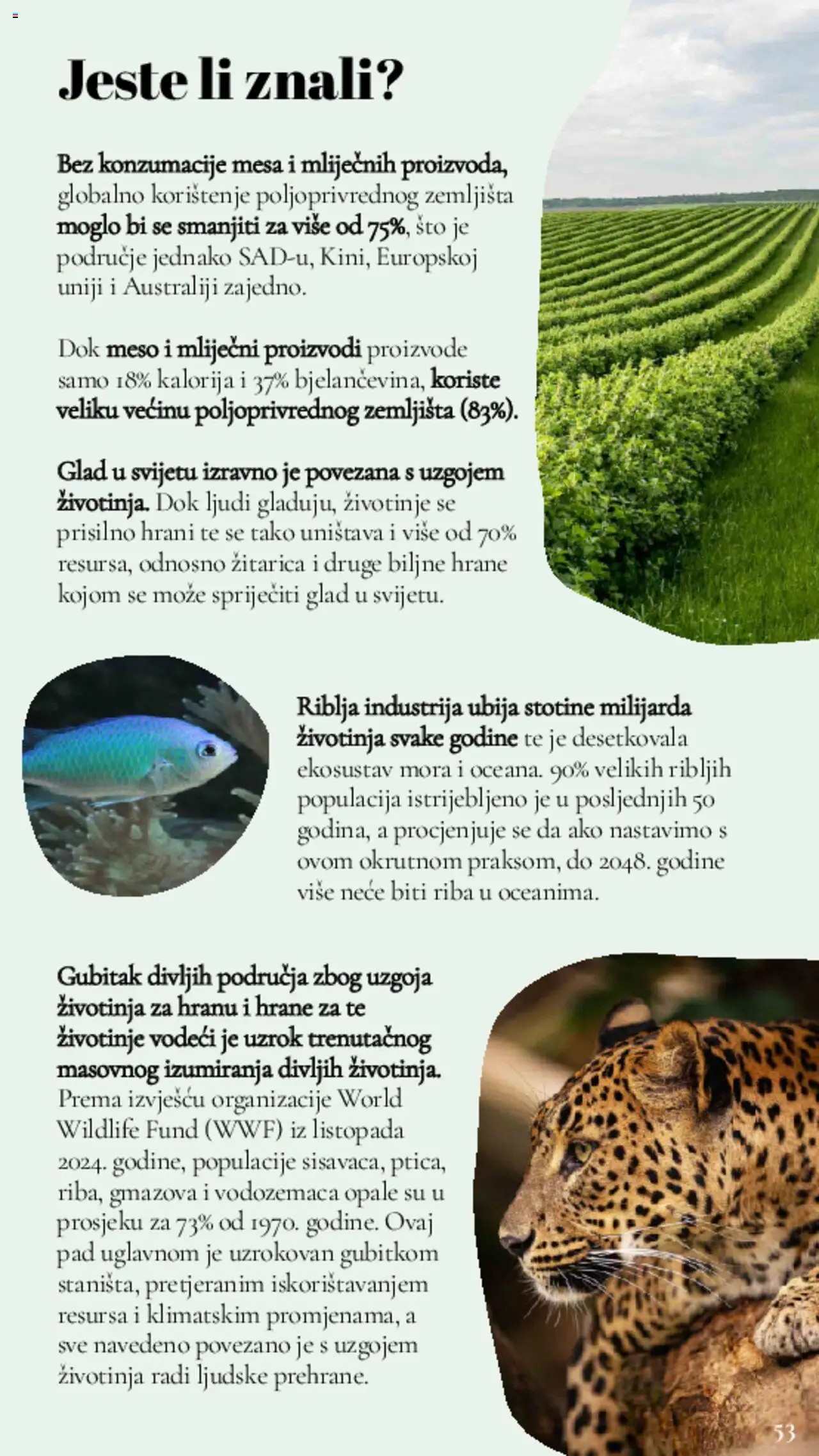 Lidl katalog | vrijedi od 11.03.2025 | Stranica: 53 | Proizvodi: Meso, Riba