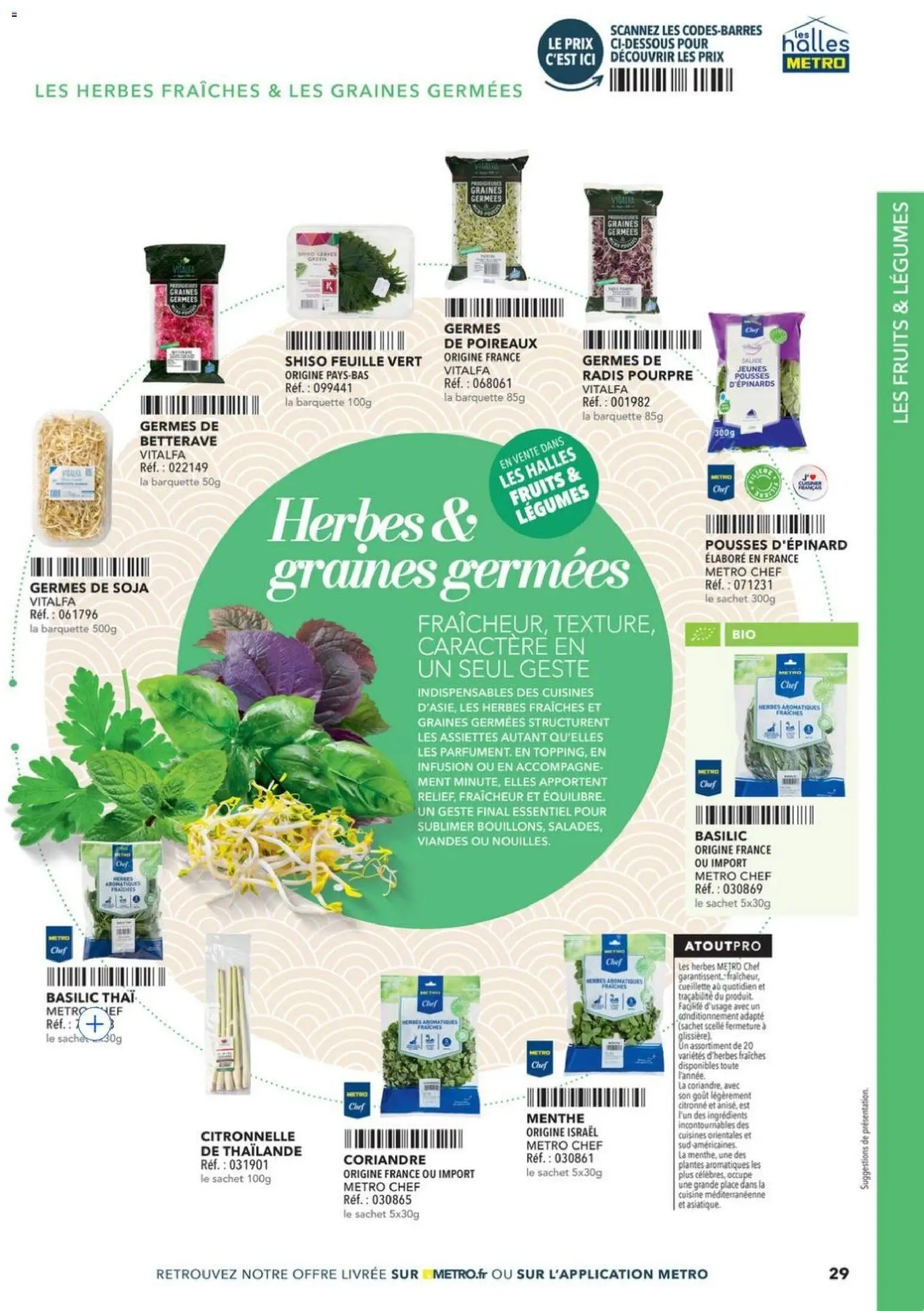 {H1} | Page: 29 | Produits: Menthe, Radis, Infusion, Coriandre