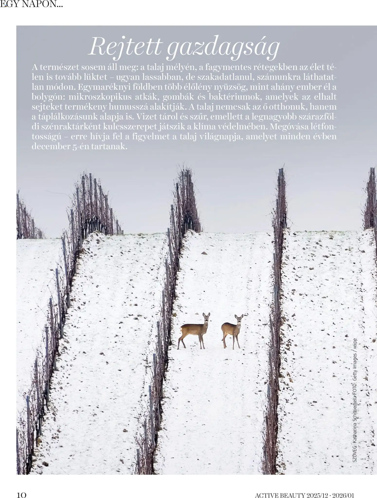 DM Drogerie Markt akciós ujság - amely érvényes a következő dátumtól: 18.12.2025 | Oldal: 10