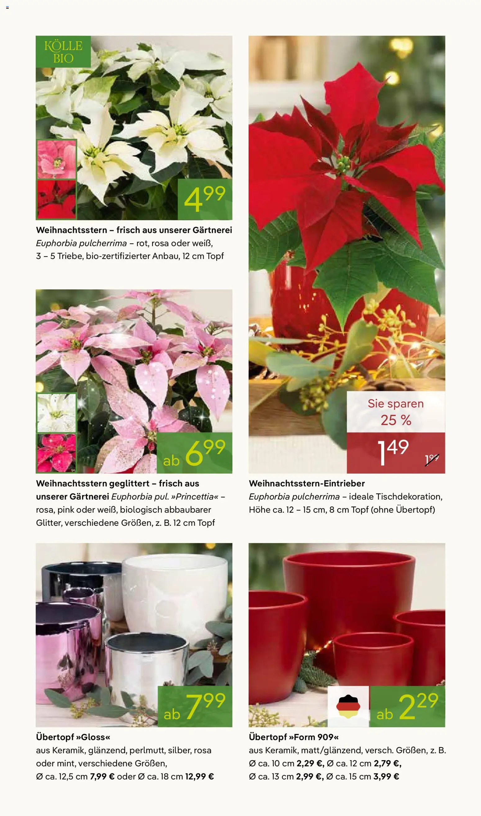 Pflanzen-Kölle Prospekt 	 – gültig ab 24.11.2025 | Seite: 3
