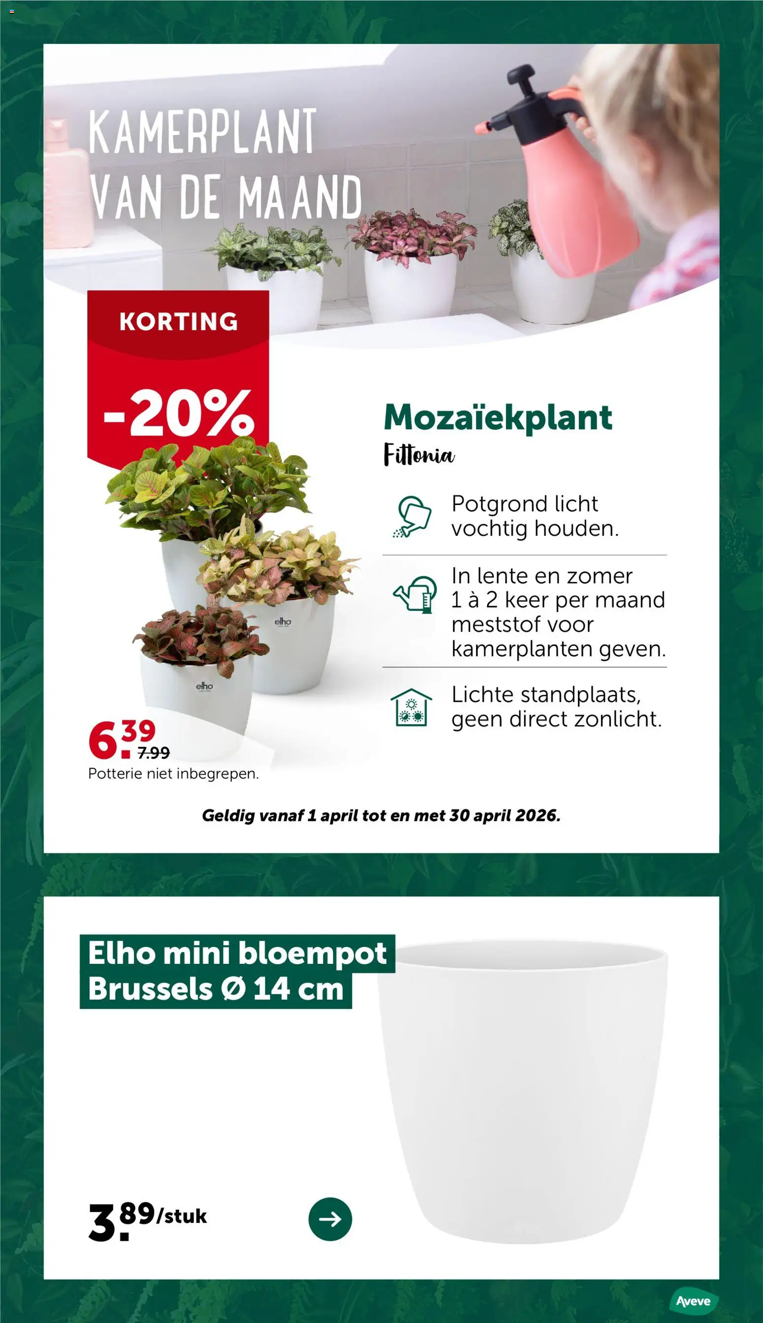 {H1} | Pagina: 18 | Producten: Kamerplanten