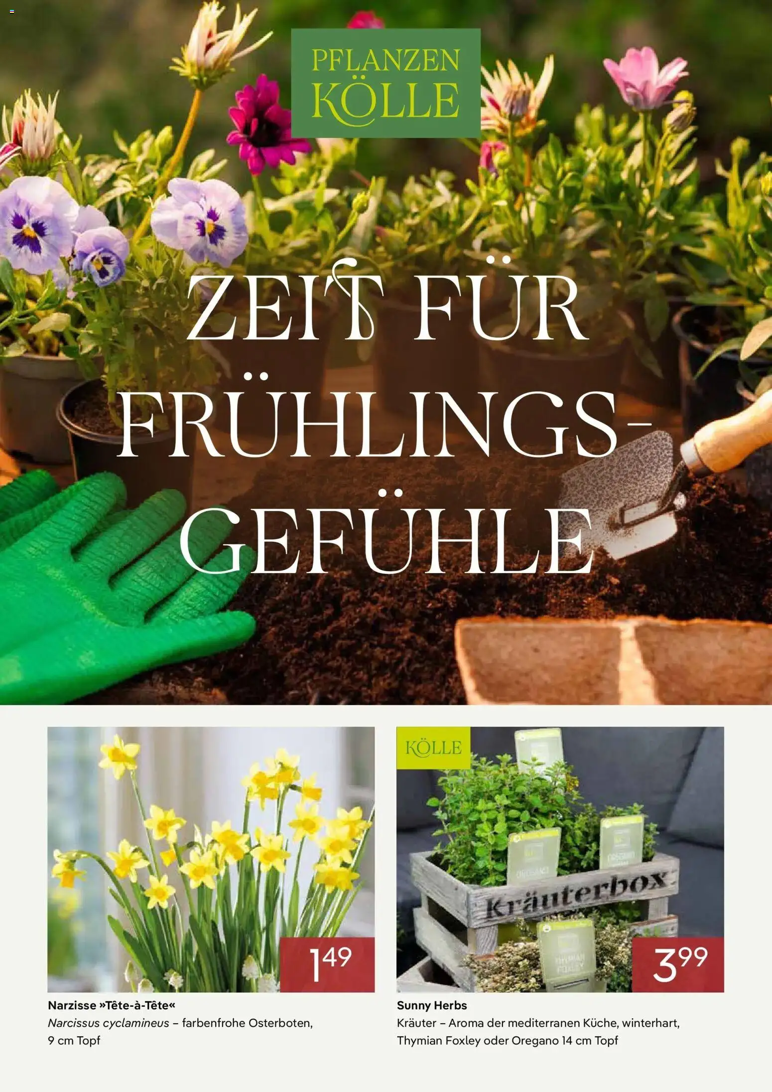 Pflanzen-Kölle - Pflanzen-Kölle: Zeit für Frühlingsgefühle – gültig ab 01.02.2026 | Seite: 1