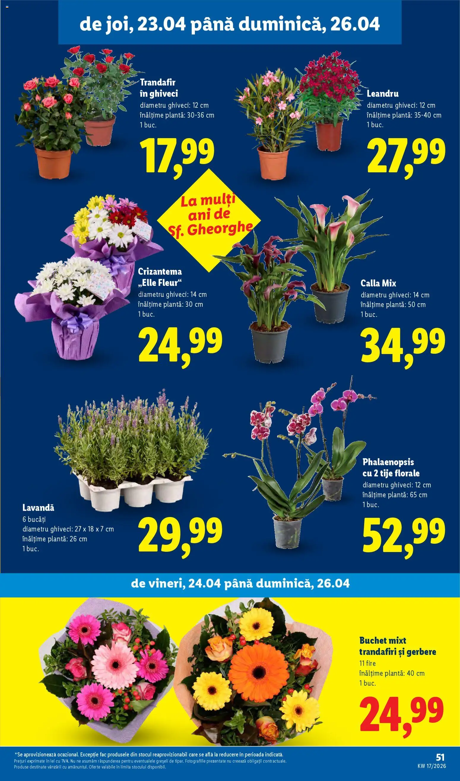 Noul catalog Lidl – valabil de la 20.04.2026 | Pagină: 51 | Produse: Trandafir, Ghiveci