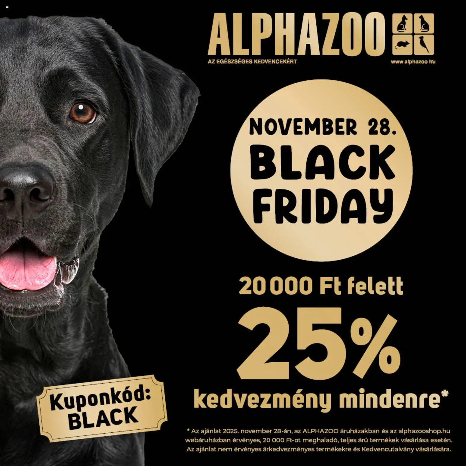 AlphaZoo akciós ujság - amely érvényes a következő dátumtól: 25.11.2025 | Oldal: 1