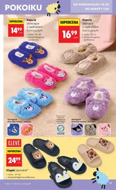 Pogląd oferty "Klapki damskie*, rozm.: 37-39 (beżowe), 38-40 (czarne), antypoślizgowa podeszwa" - ważna od 21.02.2026 | Strona: 19