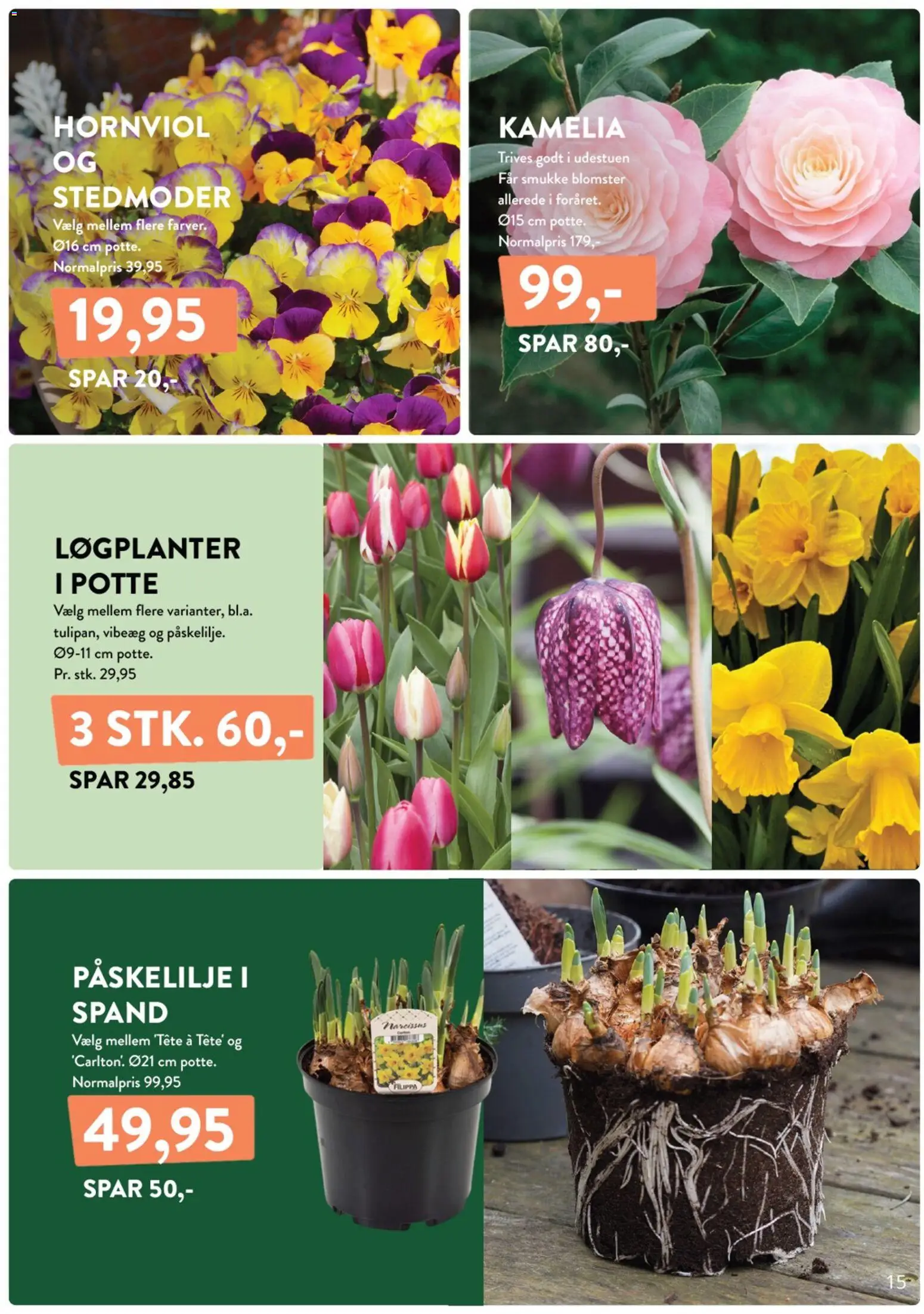 Plantorama tilbudsavis – gyldig fra 06.02.2026 | Side: 15
