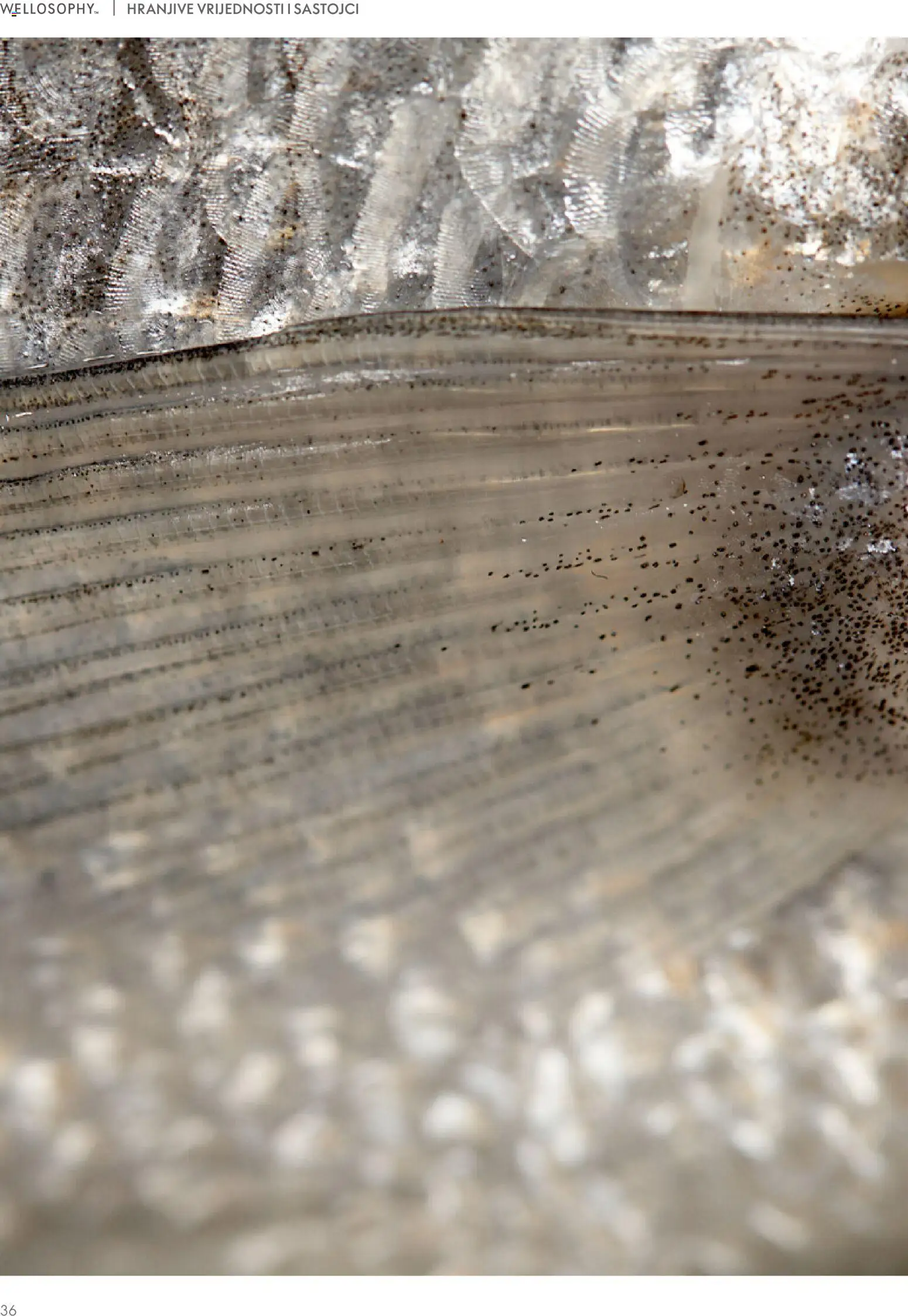 Oriflame katalog | vrijedi od 01.01.2026 | Stranica: 36