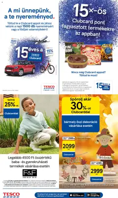 Tesco akciós ujság - amely érvényes a következő dátumtól: 28.08.2025 | Oldal: 16 | Termékek: Dekoráció, Koszorú