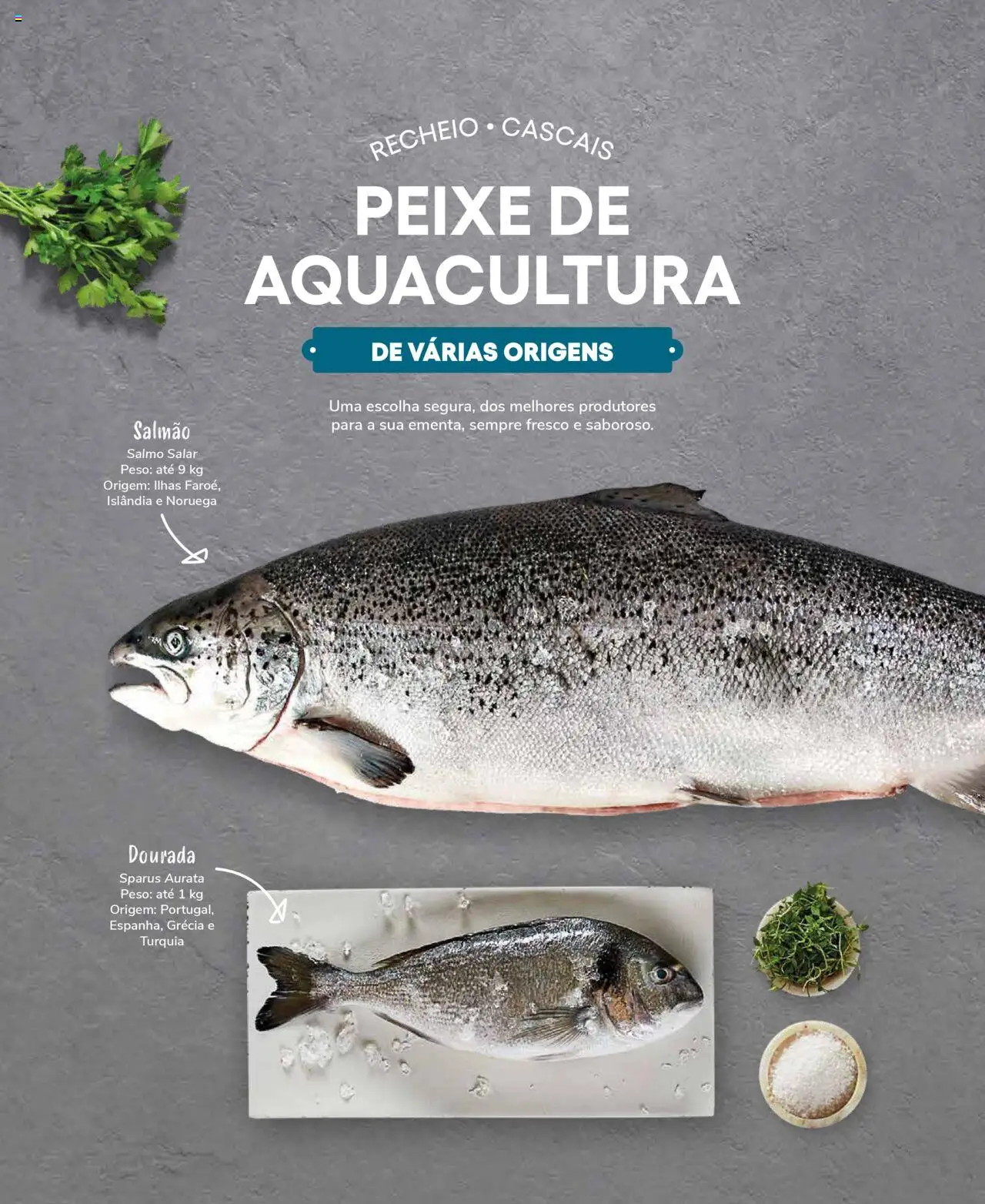 Recheio Peixaria │ válido de 19.09.2024 | Página: 10 | Produtos: Dourada, Salmão, Peixe