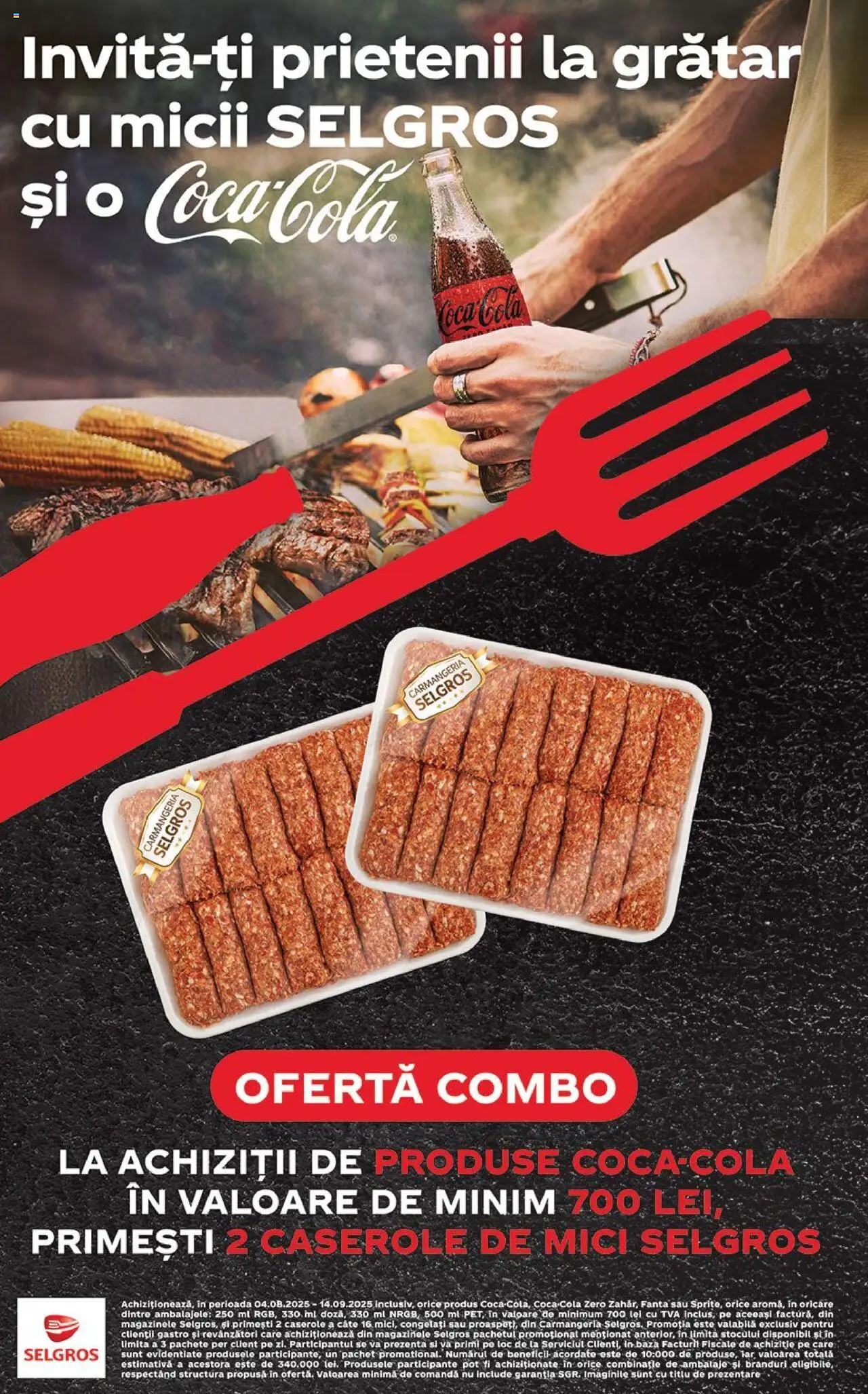 Catalog Selgros - Food – valabil de la 22.08.2025 | Pagină: 22 | Produse: Caserole, Grătar, Mici, Amerikan servis