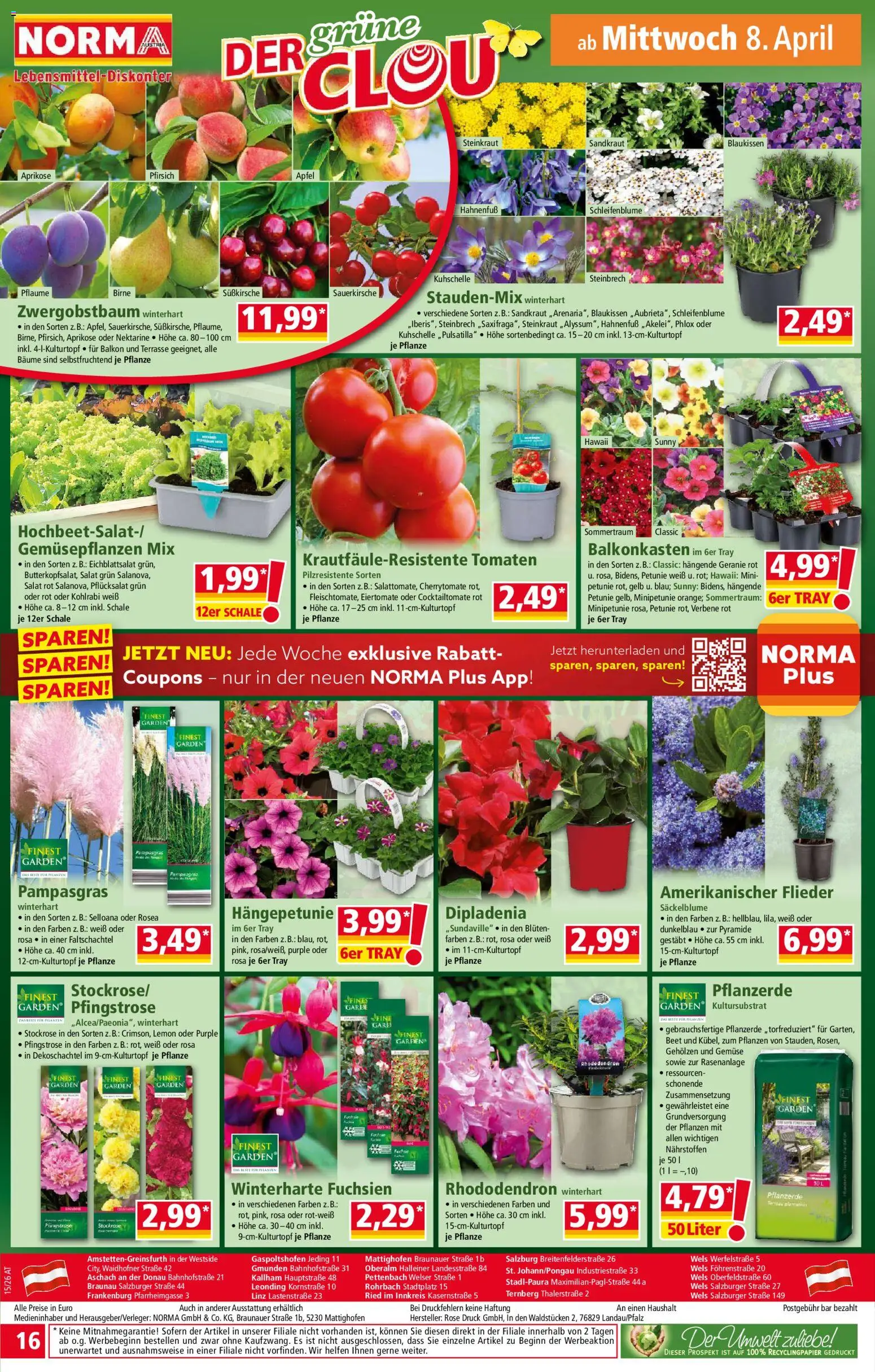 Norma Flugblatt gültig ab 07.04.2026 | Seite: 16 | Produkte: Gemüse, Pfirsich, Birne, Äpfel
