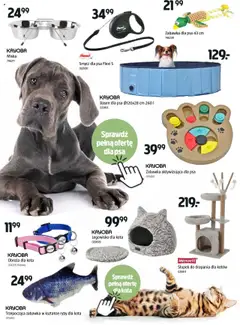 Jula Gazetka od 19.06.2025 | Strona: 11 | Produkty: Basen, Legowisko dla kota, Ryby, Smycz dla psa