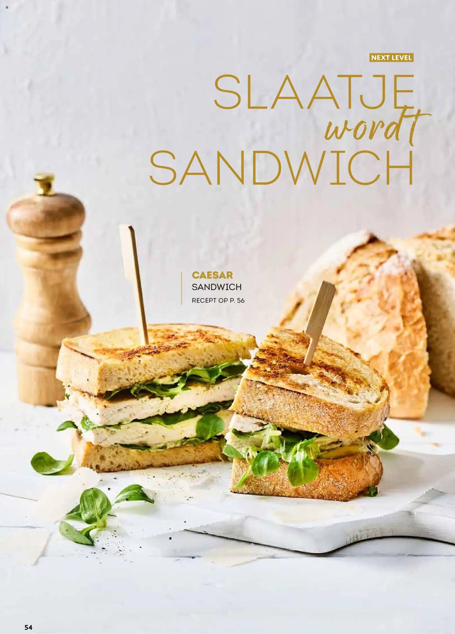 {H1} | Pagina: 54 | Producten: Sandwich