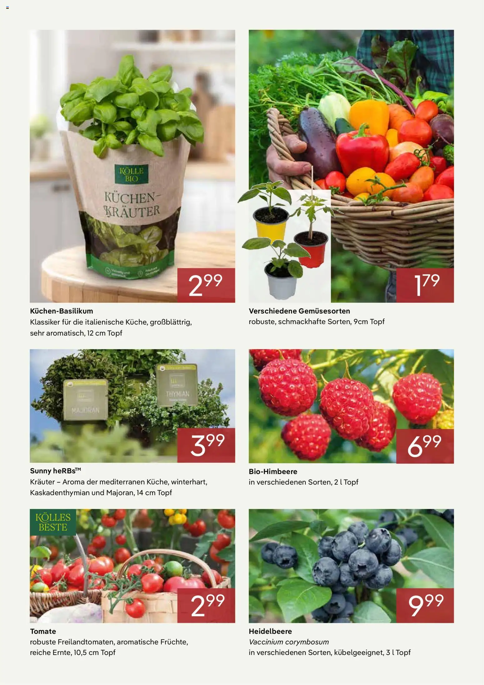 Pflanzen-Kölle Prospekt 	April – gültig ab 01.04.2026 | Seite: 3
