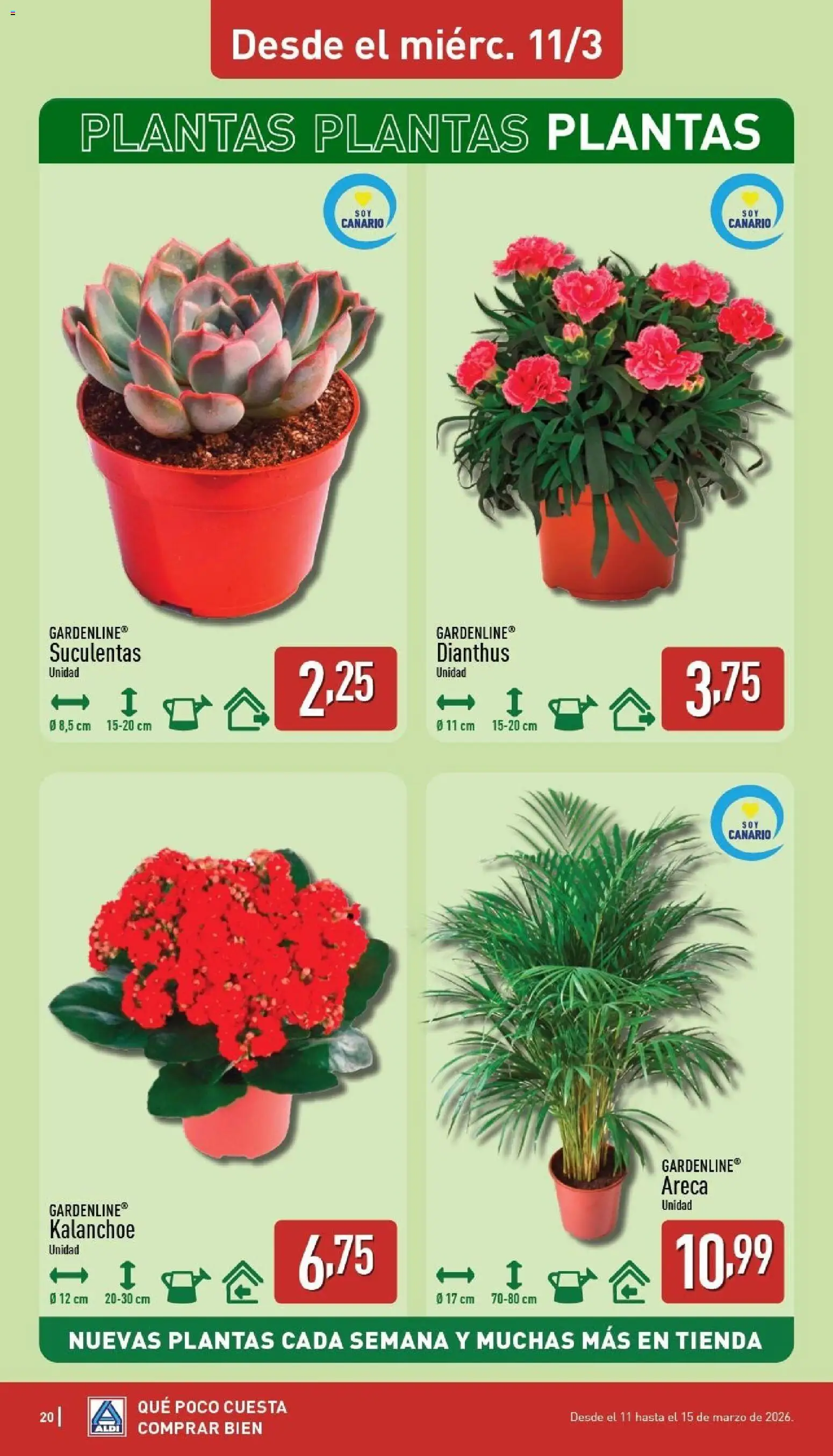 Aldi folleto Canarias │ válido desde el 09.03.2026 | Página: 20