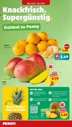 Penny - Berlin – gültig ab 22.09.2025 | Seite: 4 | Produkte: Gewicht, Ananas