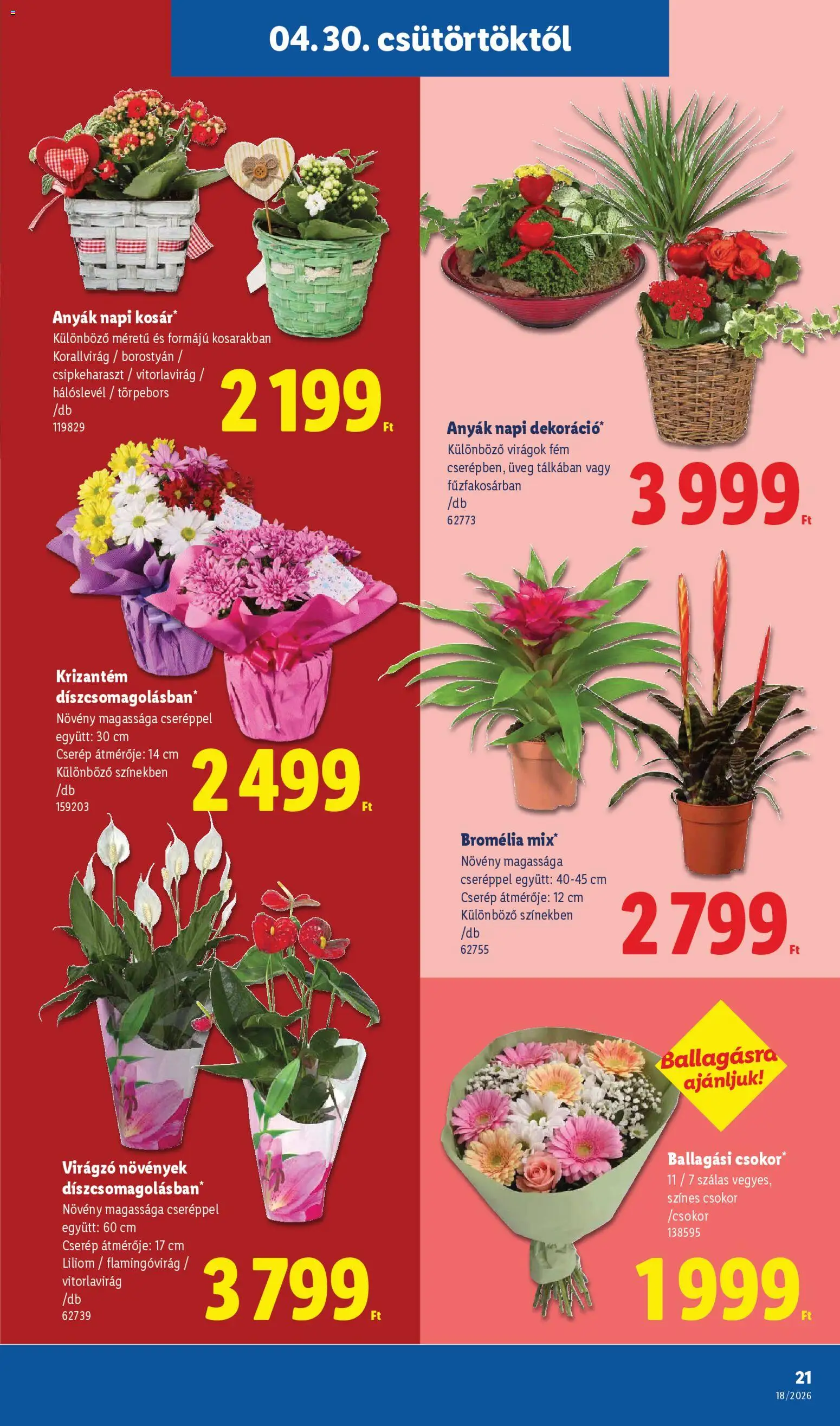 Lidl akciós ujság - amely érvényes a következő dátumtól: 30.04.2026 | Oldal: 21 | Termékek: Virágok