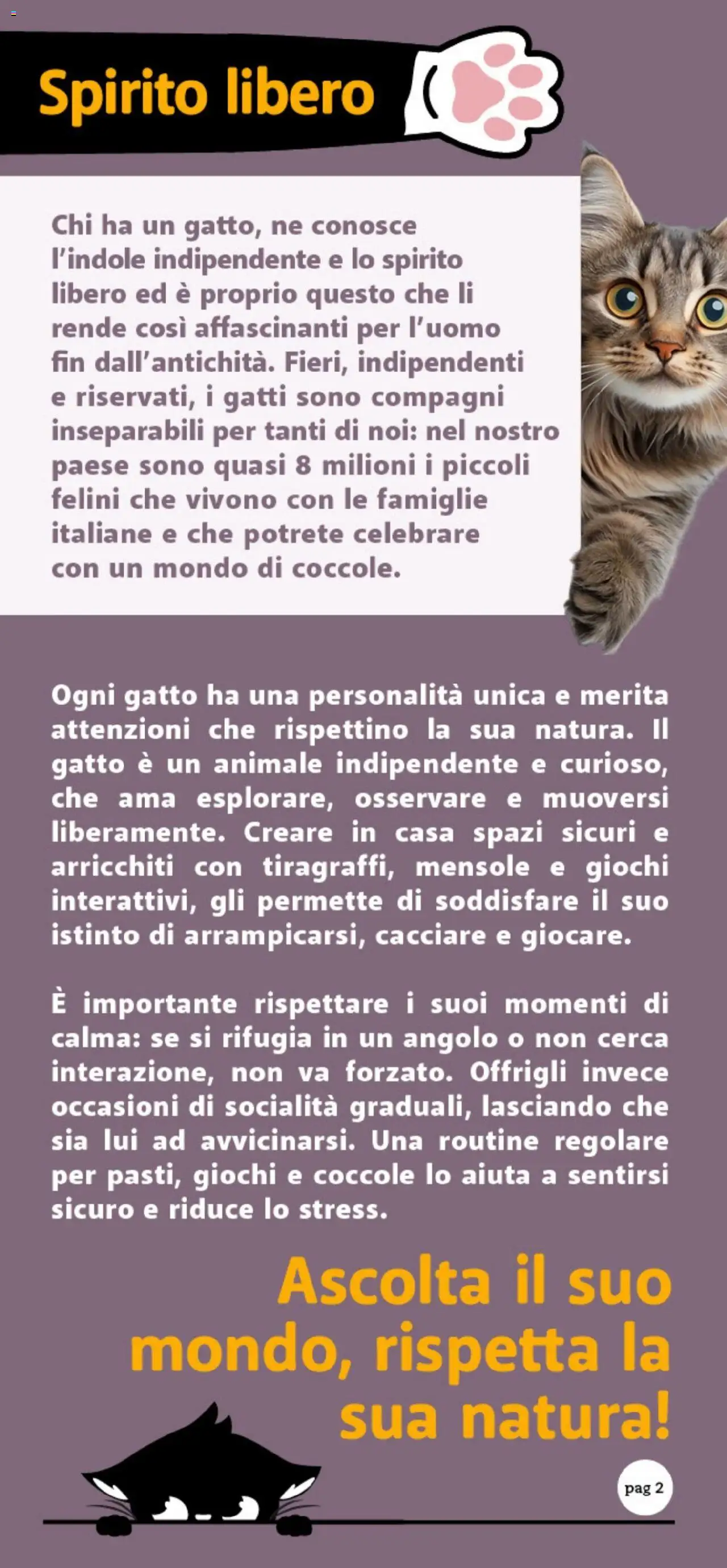 Volantino DOK del 26.09.2025 | Pagina: 2