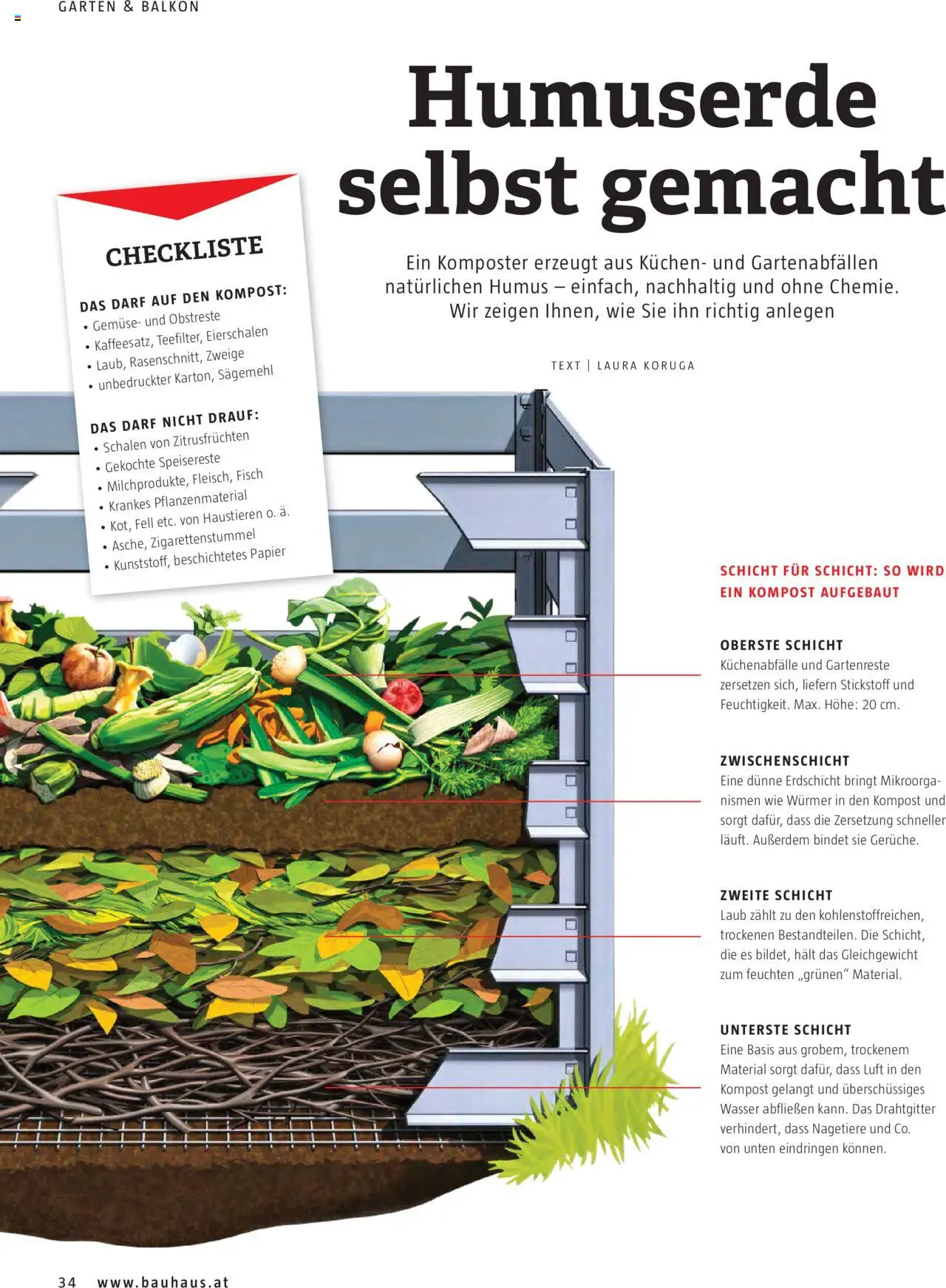 Bauhaus Passt! gültig ab 01.10.2025 | Seite: 34 | Produkte: Wasser, Gemüse, Fisch