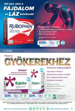Gyöngy Patikák Akciós újság - amely érvényes a következő dátumtól: 01.02.2026 | Oldal: 5