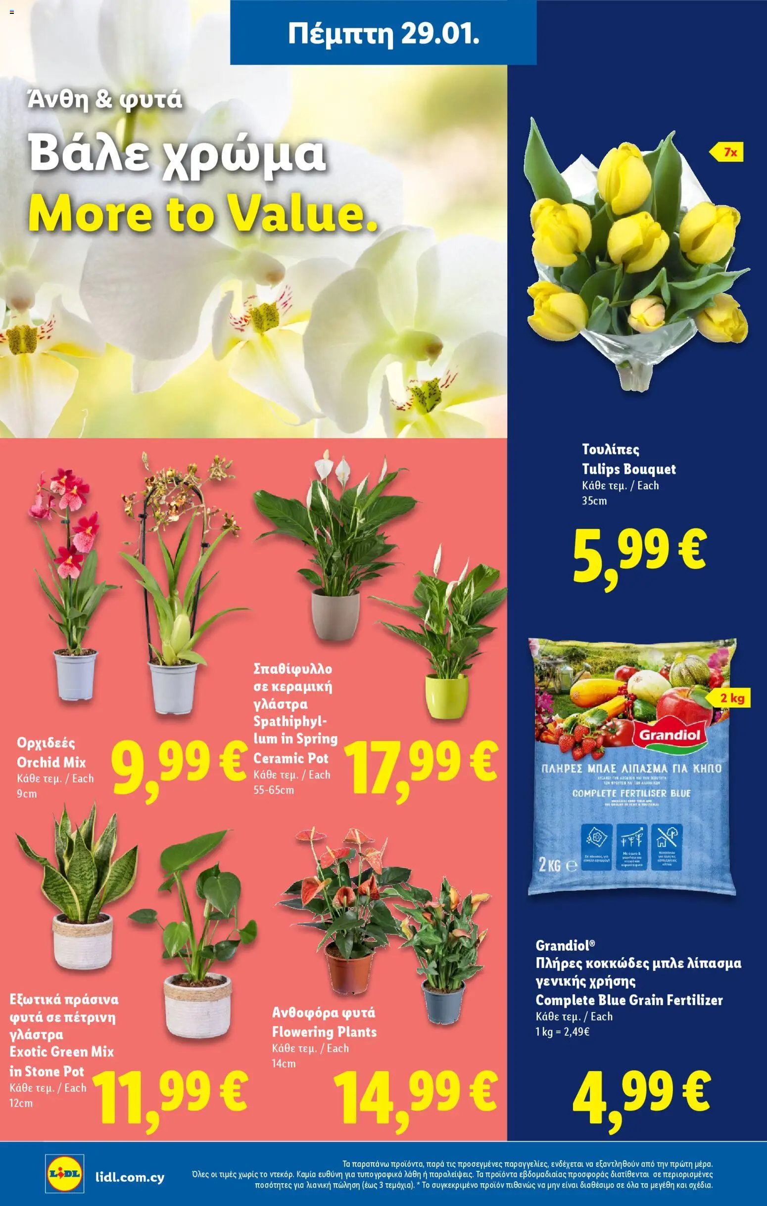 Lidl - Φυλλάδιο – σε ισχύ από 29.01.2026 | Σελίδα: 46