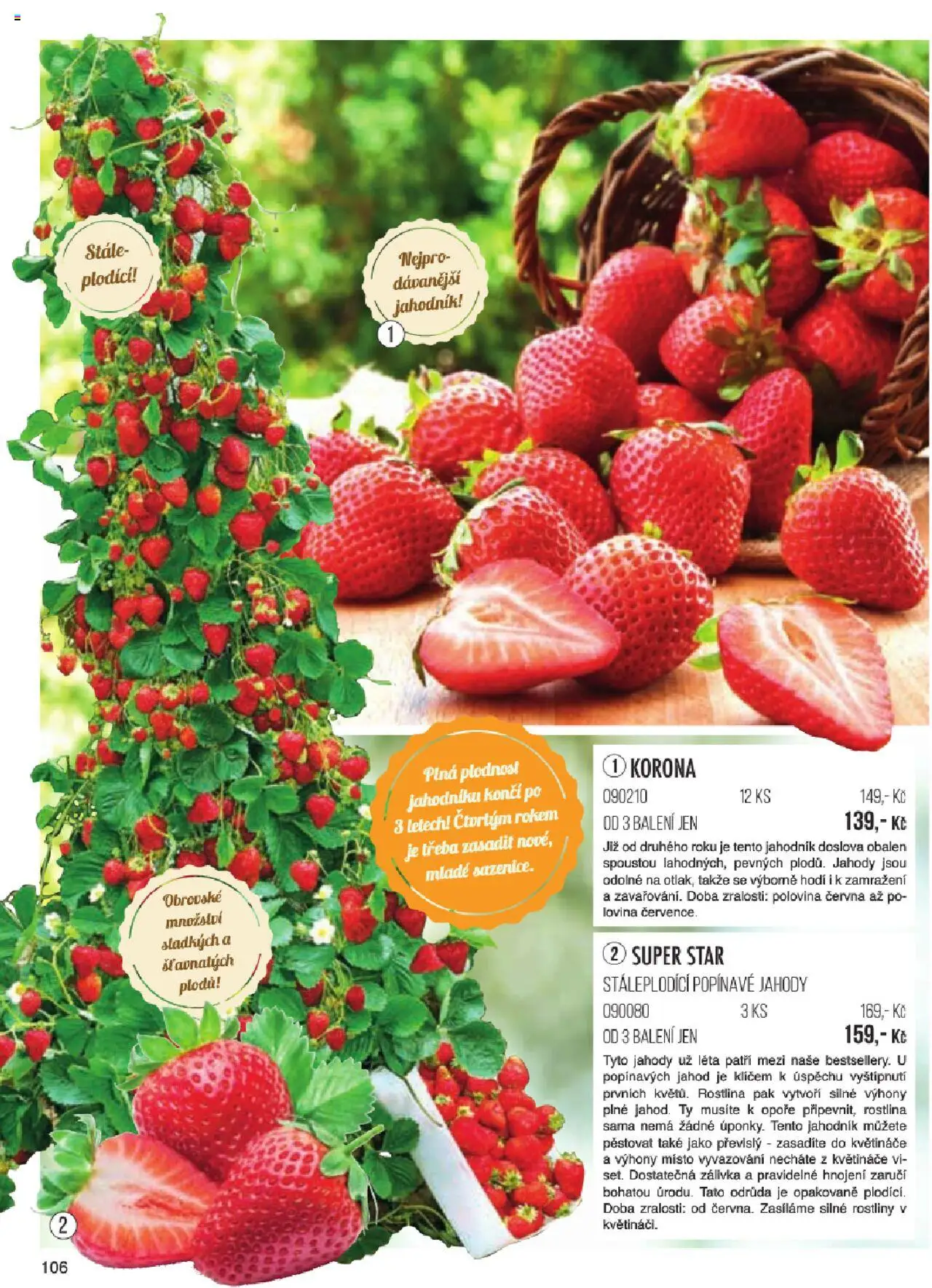 Starkl katalog jaro 2024 od 06.01.2025 | Strana: 106 | Produkty: Květináče, Jahody, Rostliny